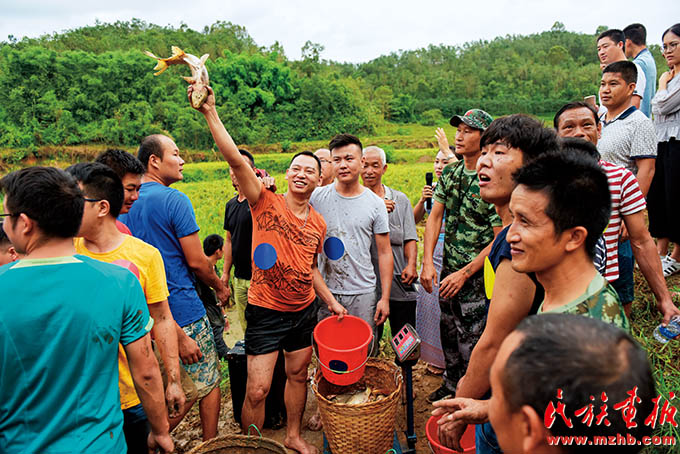 多彩瑞丽 同心筑梦——铸牢中华民族共同体意识 谱写瑞丽民族团结进步新篇章 同心筑梦 第9张