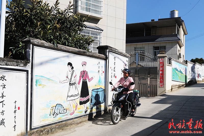 赖茂村，真不赖！|牢记嘱托 建设好泸水美丽家园 同心筑梦 第4张
