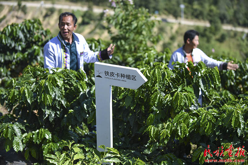 赖茂村，真不赖！|牢记嘱托 建设好泸水美丽家园 同心筑梦 第1张