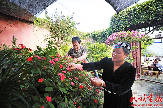 排路坝村：让乡村更宜居 让生活更美好|牢记嘱托 建设好泸水美丽家园 同心筑梦 第2张