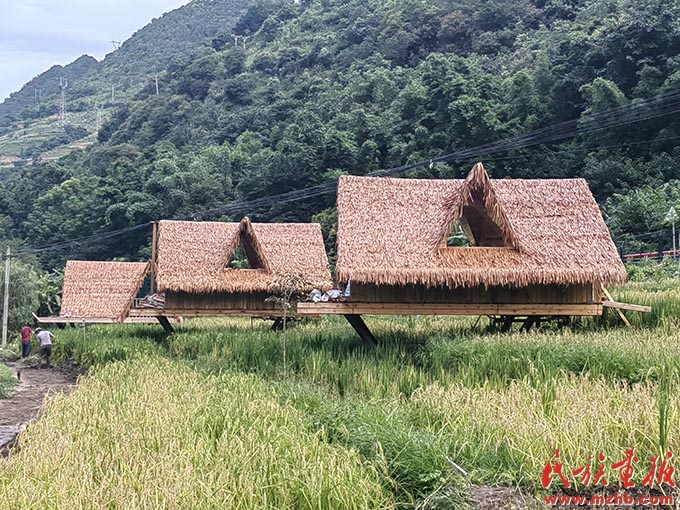 努力打造乡村振兴示范区“新样板”|牢记嘱托 建设好泸水美丽家园 同心筑梦 第3张