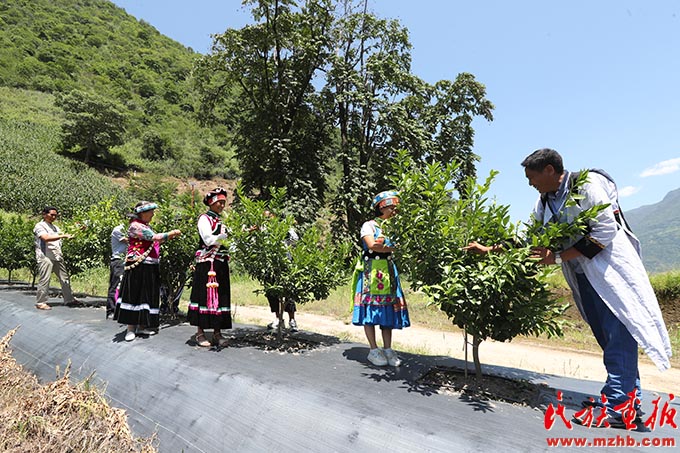 朝着幸福生活，我们阔步前进！——泸水市现代化边境幸福村建设的生动实践 同心筑梦 第16张
