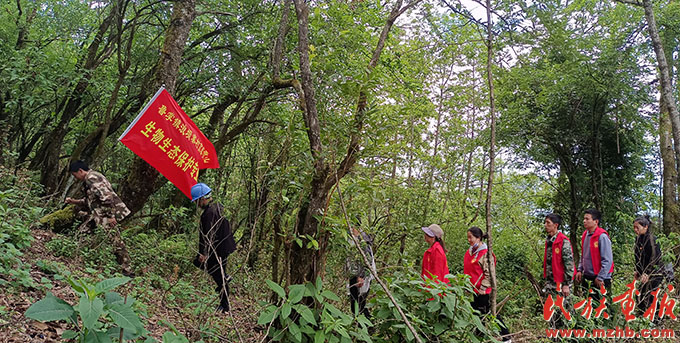 建设好美丽家园 维护好民族团结 守护好神圣国土——泸水市牢记嘱托创新推进现代化边境幸福村建设工作纪实 同心筑梦 第28张