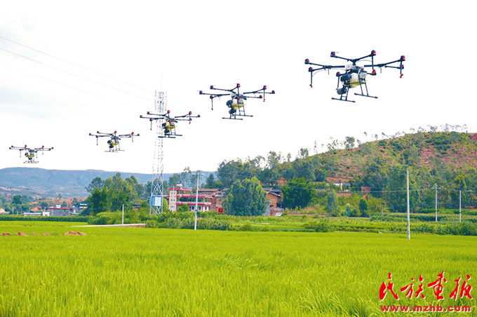 滇中翡翠 融和楚雄——云南楚雄彝族自治州打造民族团结进步创建工作“升级版”纪实 图片报道 第15张