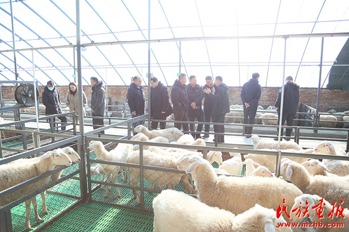 内蒙古巴林右旗：党建引领聚合力 推动党的民族工作高质量发展 壮丽征程 第9张