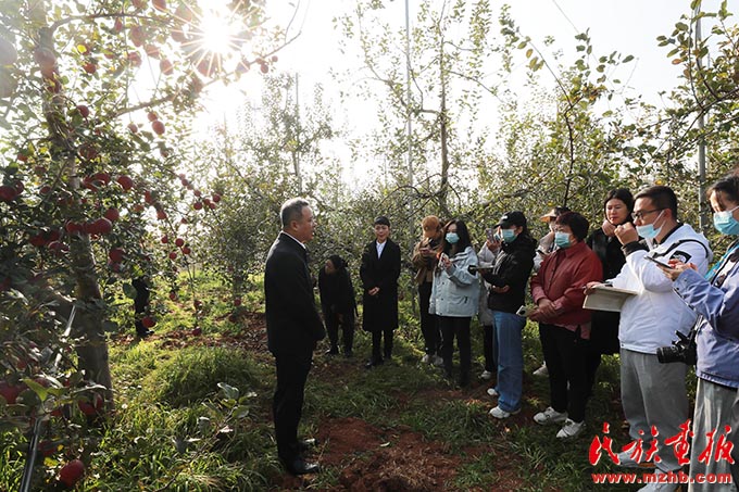 宣威市复兴街道：东西协作共富裕 中华民族一家亲 同心筑梦 第3张