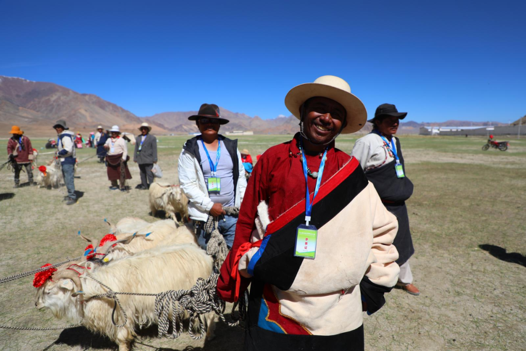 让农牧民在“家门口”实现就业增收 ——西藏阿里地区日土县兴产业赋能乡村振兴 壮丽征程 第1张