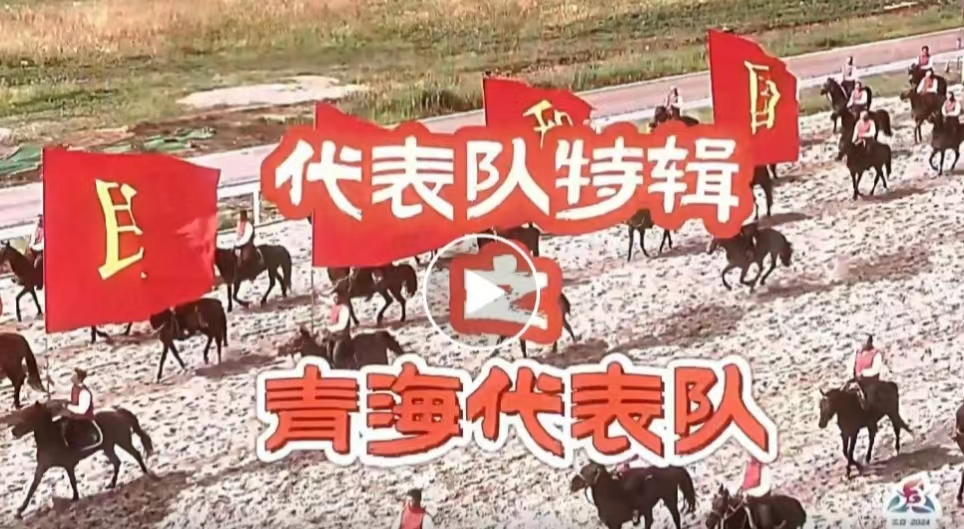 青海代表队：歹滴很！ 第十二届全国少数民族传统体育运动会 第1张