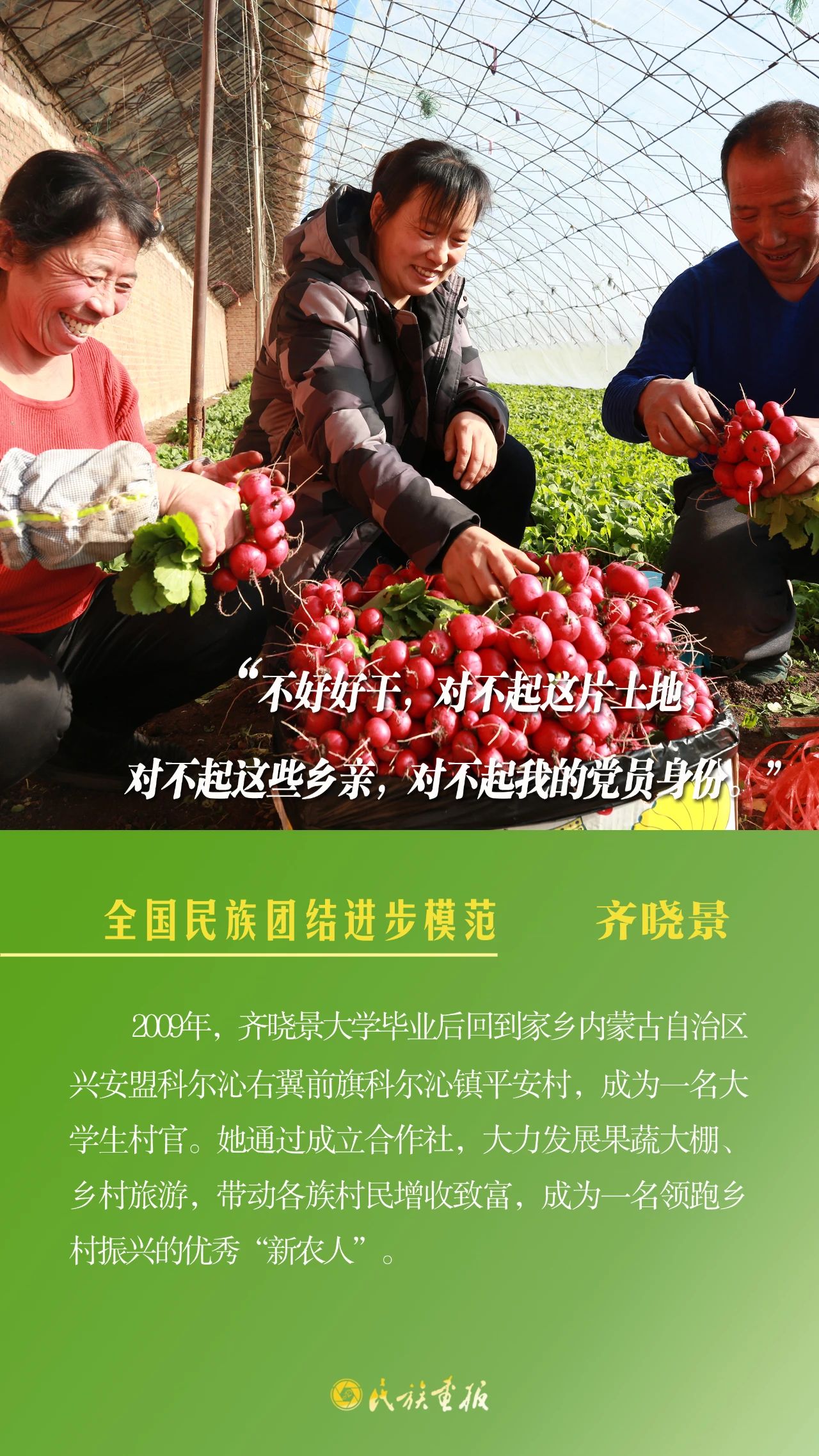 光荣榜|全国民族团结进步模范风采录（三） 同心筑梦 第1张