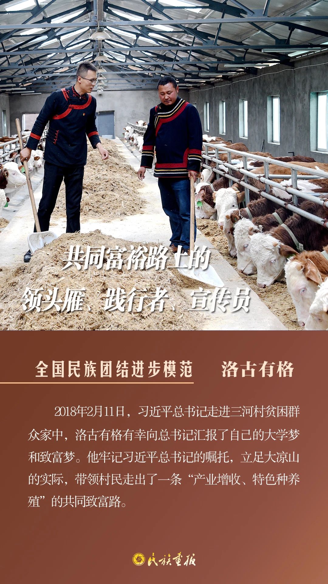 光荣榜|全国民族团结进步模范风采录（二） 同心筑梦 第3张