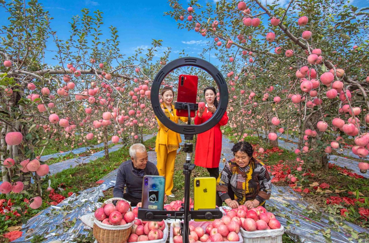 画好最大同心圆|新时代民族团结进步画卷系列之三 多彩中华 第11张