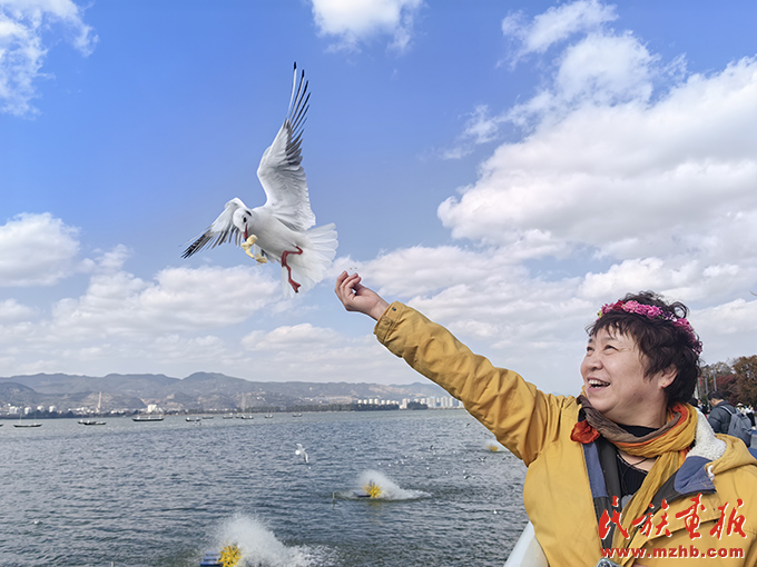 团结花开  幸福春城——昆明市以“一圈三走廊”为抓手打造民族团结进步创建工作升级版 同心筑梦 第2张