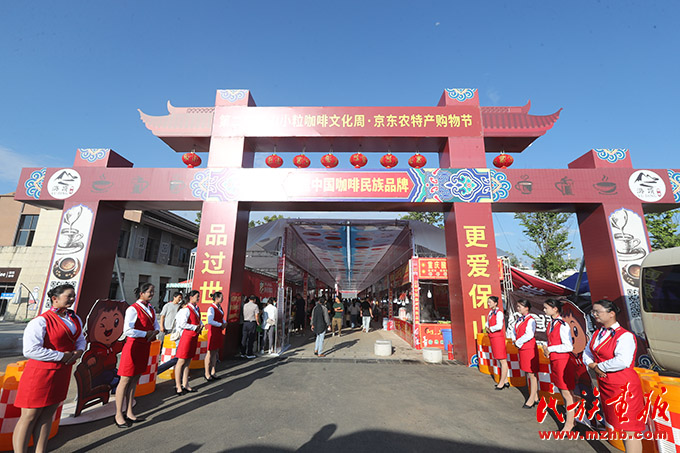 新寨村：咖啡红果果变成“金果果” 同心筑梦 第10张