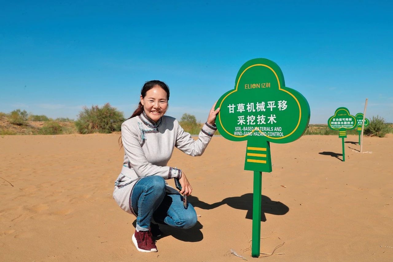 薪火相传画团结|敖特更花：铿锵玫瑰绽放沙漠 同心筑梦 第1张