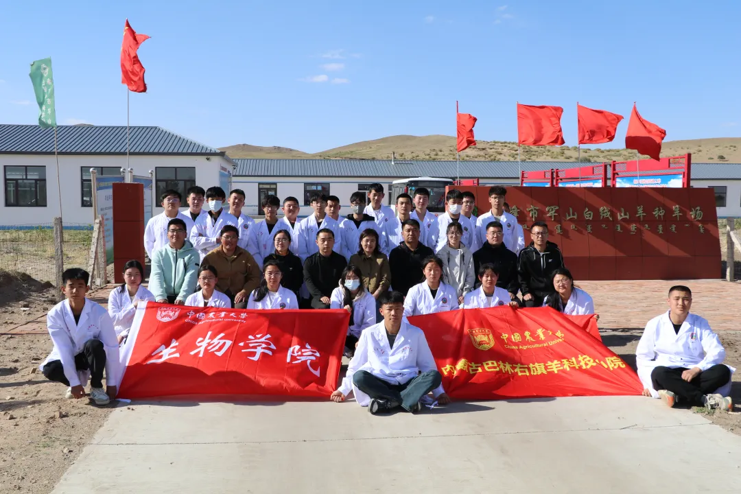 巴林右旗羊科技小院：创新科技兴农方式  助力新质生产力发展 同心筑梦 第1张
