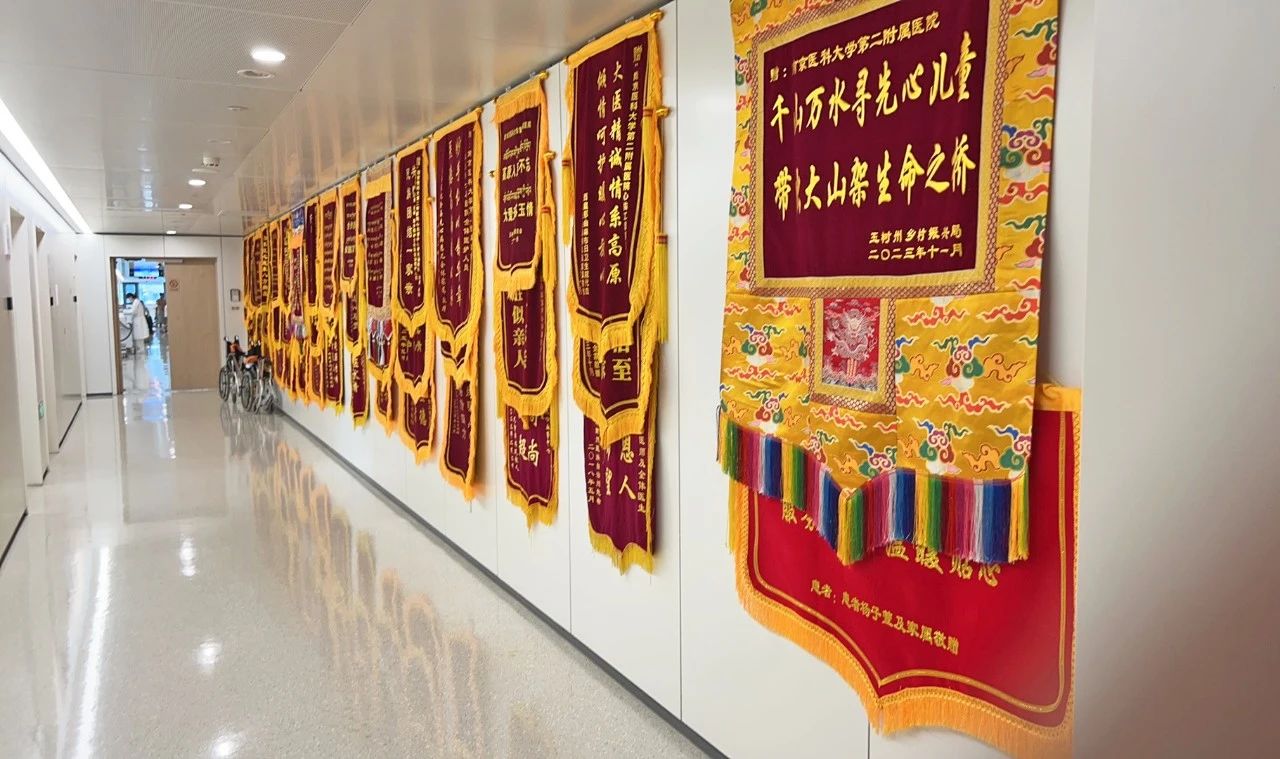 榜样的力量|南京医科大学第二附属医院“心佑工程”团队：以医者仁心的担当凝聚民族团结力量 同心筑梦 第5张