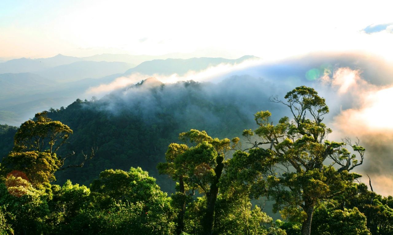 我爱五指山 我爱万泉河|生态海南 最新时讯 第2张