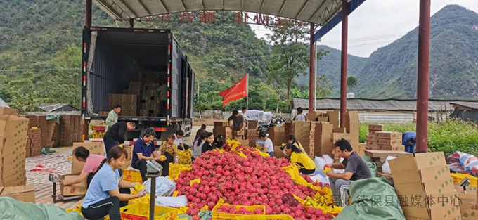 奏响乡村振兴与民族团结“协奏曲”——少数民族发展资金服务铸牢中华民族共同体意识主线综述 壮丽征程 第3张