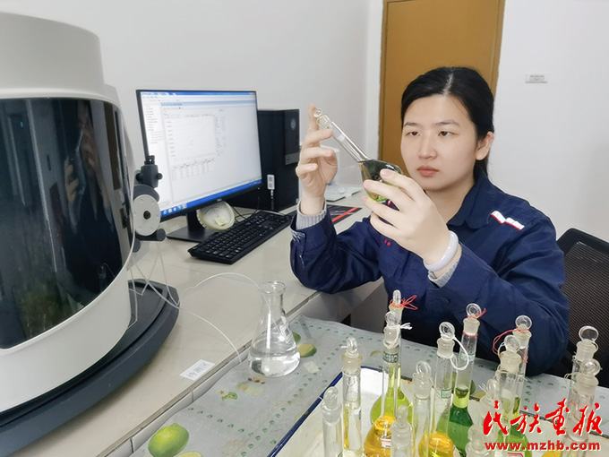代表委员话“铸牢”|全国人大代表杨正平：铸钢铸魂 绘就民族团结同心圆 图片报道 第2张