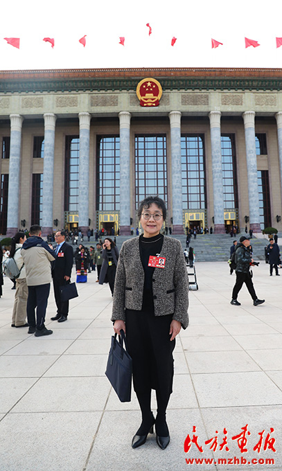代表委员话“铸牢”|全国政协委员郑茜：用文物讲好中华民族共同体故事 图片报道 第1张