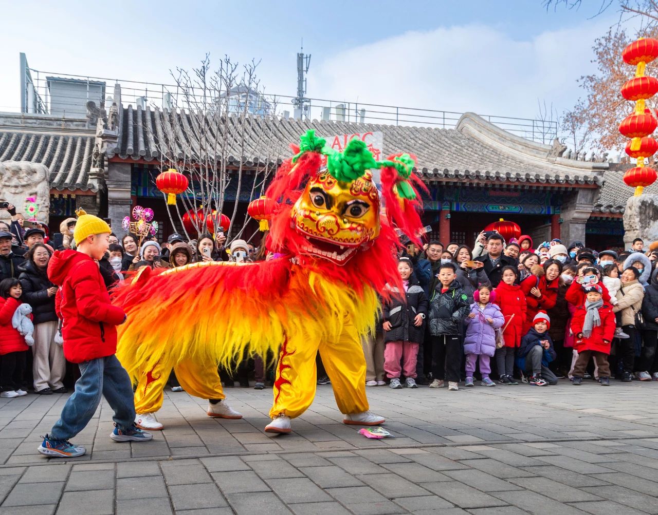 “镜头里的中国年之精神家园”摄影作品征集活动拟入选作品公示 多彩中华 第116张