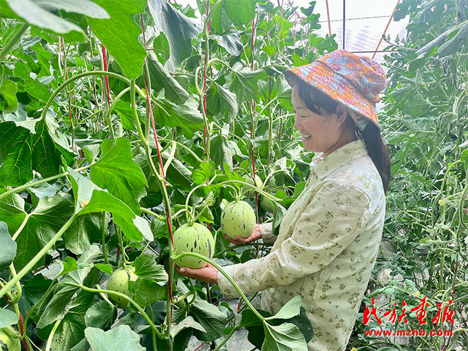 沿着总书记的足迹看甘肃“铸牢”新实践——道中华·丝路行|广至乡:民族团结花盛开 产业发展果飘香 图片报道 第4张-民族画报