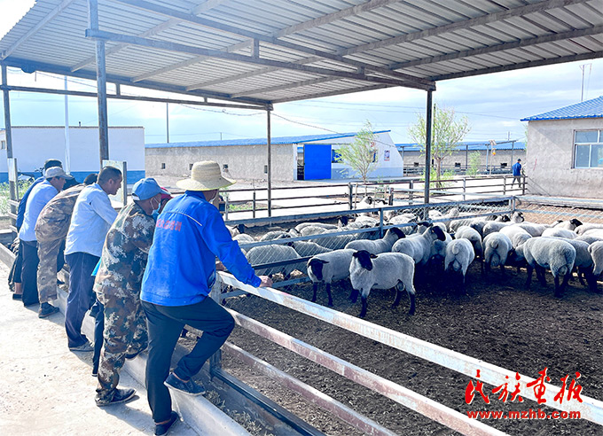沿着总书记的足迹看甘肃“铸牢”新实践——道中华·丝路行|广至乡:民族团结花盛开 产业发展果飘香 图片报道 第5张-民族画报