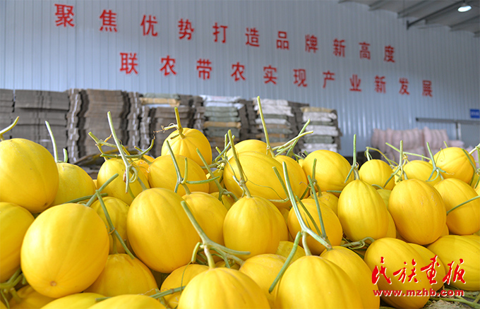 沿着总书记的足迹看甘肃“铸牢”新实践——道中华·丝路行|广至乡:民族团结花盛开 产业发展果飘香 图片报道 第2张-民族画报